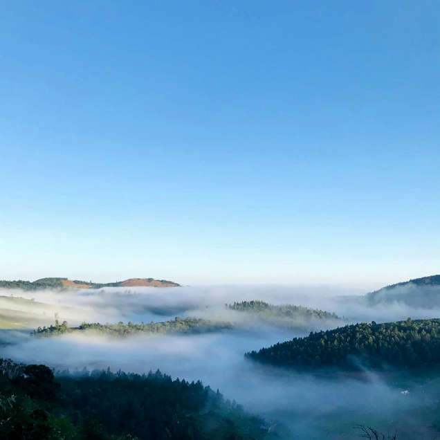 COONOOR