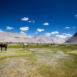 Nubra Valley