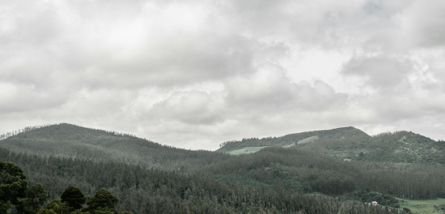Ooty