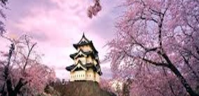 Cherry Blossom Tours