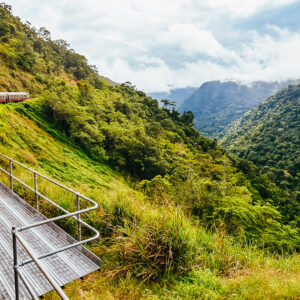 Kuranda Rainforest and Scenic Railway