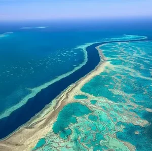 the great Barrier reef