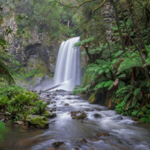 Otway National Park
